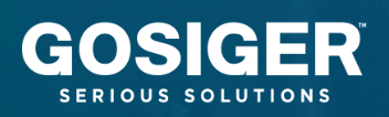 Gosiger — Serious Solutions